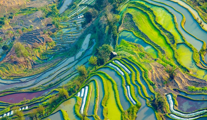宝妈必备神器：鹿城区产品视频拍摄轻松育儿好帮手