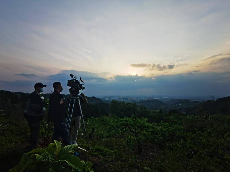 聚焦鹿城区产品宣传视频拍摄公司，用专业实力铸就品牌传播传奇