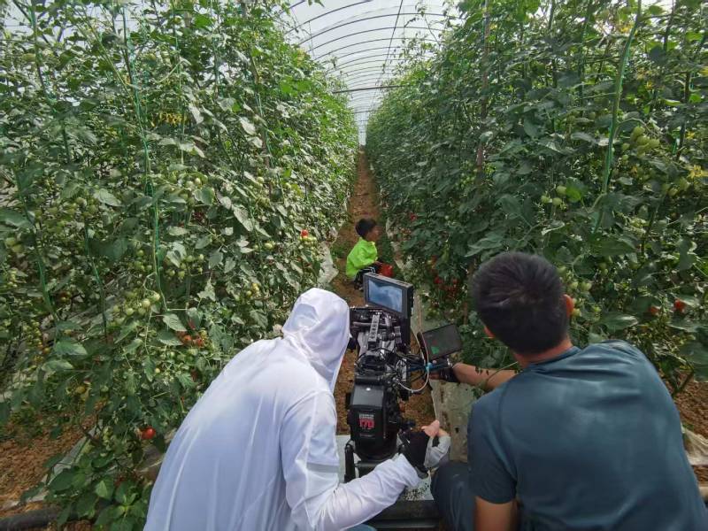 鹿城区产品宣传视频拍摄公司进阶指南，助力品牌抢占传播高地